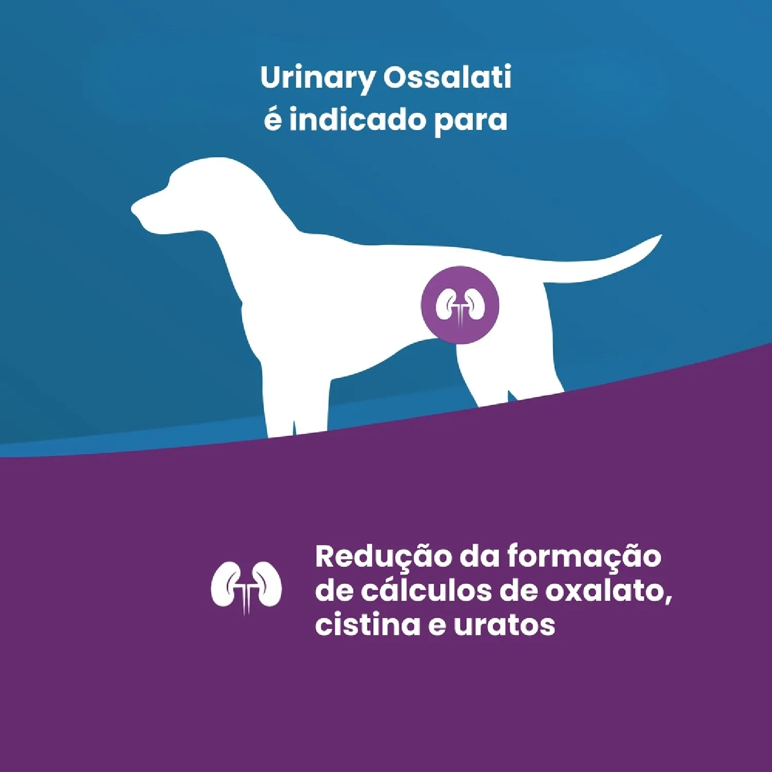 Racao Vet Life Natural Canine Urinary Ossalati 2